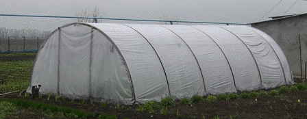 Теплица в виде арки