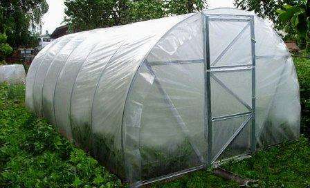 Полиэтиленовая пленка для теплицы