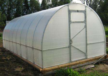 Дачная теплица