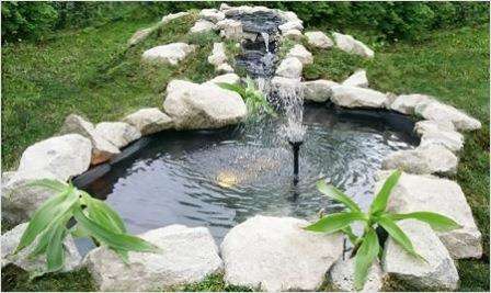 пруд на даче своими руками из камней фото #4