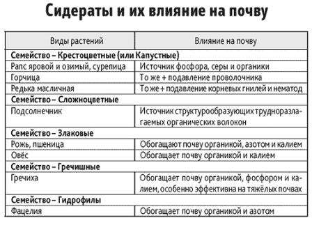 Перед посадкой основной культуры обычно сажают сидераты