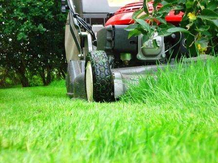 Газонокосилки бензиновые или электрические, выбор за вами