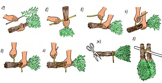 Немаловажную роль играет умение вязать веник. Если вы еще никогда этого не делали самостоятельно, то вам будет интересно узнать об этом процессе. Во-первых, нужно как следует очистить ветку от сучков и листьев в том месте, где будет располагаться ручка.