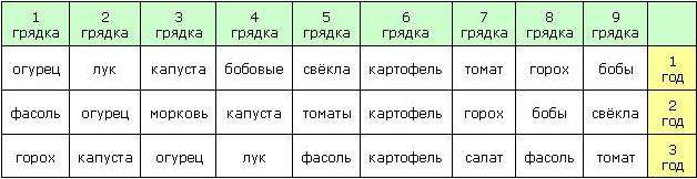 Соседство чеснока полезно не только плодовоовощным культурам, но и цветам (астры, розы, гвоздики, гладиолусы). Выделяемые чесноком вещества, помогают цветам уберечься от грибков. Плохо соседство с чесноком переносят капуста, горох, фасоль.