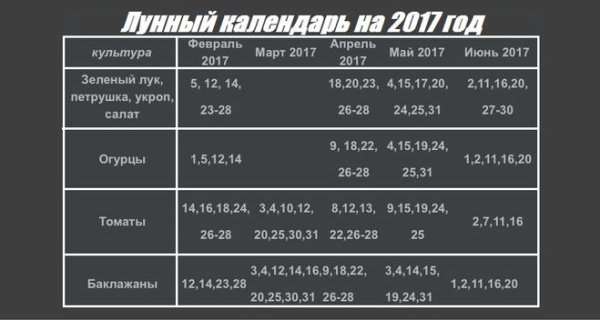 Когда сеять рассаду в 2017 году по Когда сеять рассаду в 2017 году по