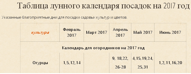 Когда сеять рассаду в 2017 году по 815