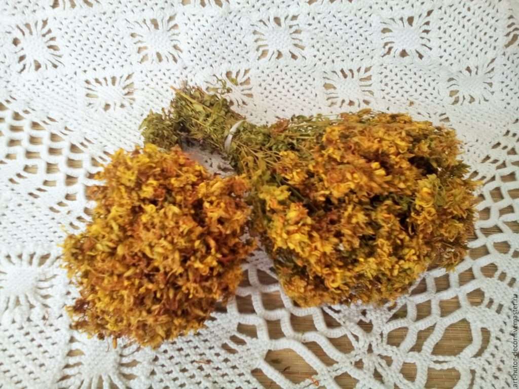 зверобой: заготовка сырья