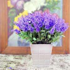 Посадка лаванды семенами в домашних условиях — отличная идея для тех, кто в восторге от вечнозеленого куста с голубыми цветами.