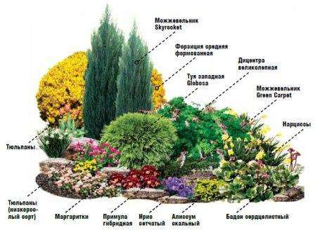 Миксбордер своими руками: схема, фото и подбор растений
