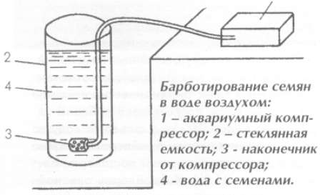 устройство для барботирования семян своими руками