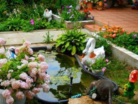 Если вы хотите заполнить бассейн растениями, то высаживать их лучше в горшках
