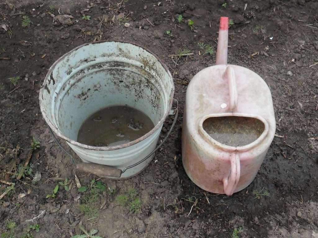 В составе продукта куриной жизнедеятельности содержится достаточно высокое количество мочевой кислоты, поэтому прямое внесение его в почву в свежем виде может быть чревато ожогами корней выращиваемых культур.