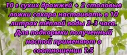 Для того чтобы прикормка дала хороший результат, необходимо правильно приготовить раствор