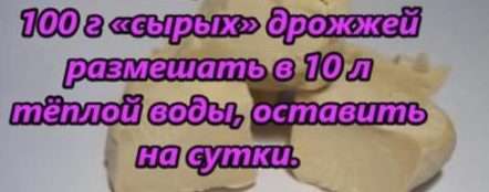 evaz.info
