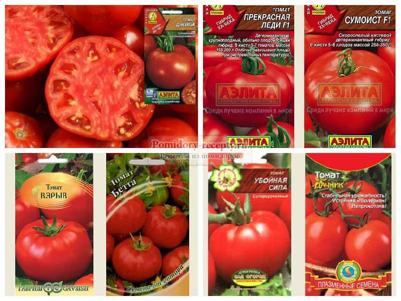 Лучшие сорта томатов для: посадка и уход