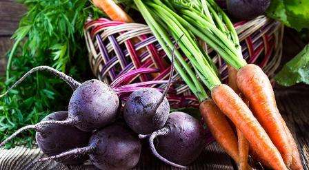 Как определить, когда убирать с грядок морковь и свеклу? Советы опытных агрономов
