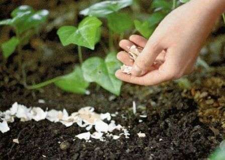 Метод 1. Преграды