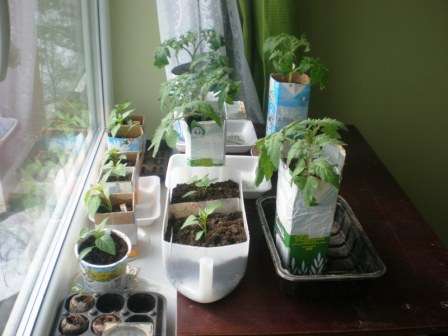 Наилучшие из них приобрели особенную популярность в кругах дачников и огородников. Предлагаем вам лично с ними ознакомиться.