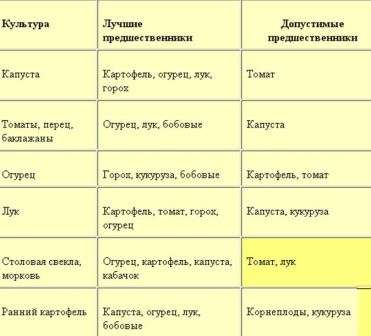 Для того чтобы, дать почве возможность отдохнуть и оздоровиться, после моркови в зиму высаживают седераты, например, горчицу.