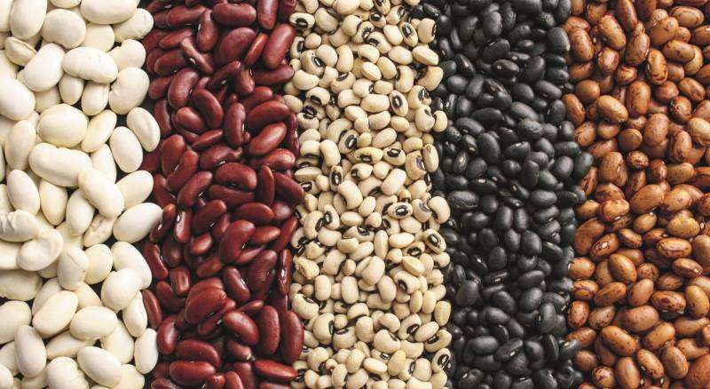 5 способов хранения зерновой фасоли