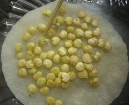 замачивание семян огурцов в борной кислоте. Смотреть фото замачивание семян огурцов в борной кислоте. Смотреть картинку замачивание семян огурцов в борной кислоте. Картинка про замачивание семян огурцов в борной кислоте. Фото замачивание семян огурцов в борной кислоте замачивание семян огурцов в борной кислоте. Смотреть фото замачивание семян огурцов в борной кислоте. Смотреть картинку замачивание семян огурцов в борной кислоте. Картинка про замачивание семян огурцов в борной кислоте. Фото замачивание семян огурцов в борной кислоте