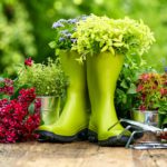 Как оформить идеальную цветочную клумбу?