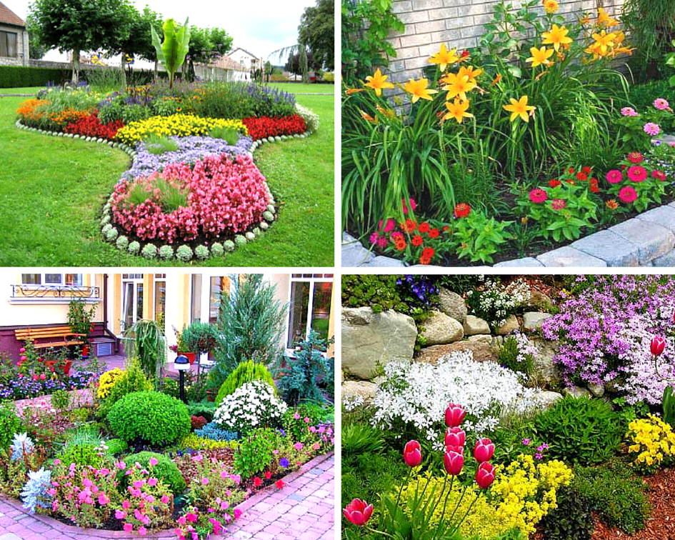 виды клумб