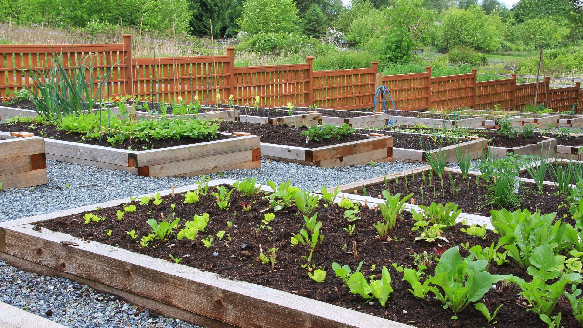 мульчирование гравием